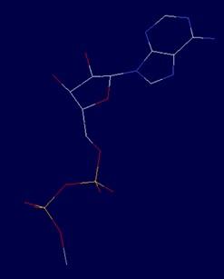 Molecular component10.jpg